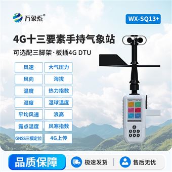 WX-SQ1313要素电子气象仪