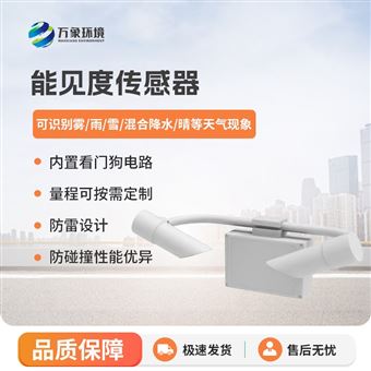 WX-N55KM能见度传感器