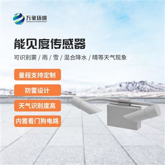 WX-N2020KM能见度传感器
