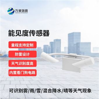 WX-N5050KM能见度传感器