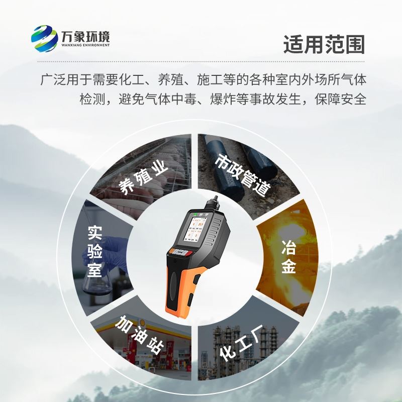 便携式气体检测仪