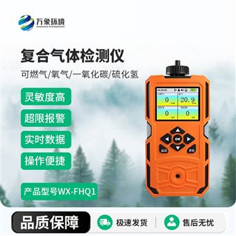 WX-FHQ1复合气体检测仪