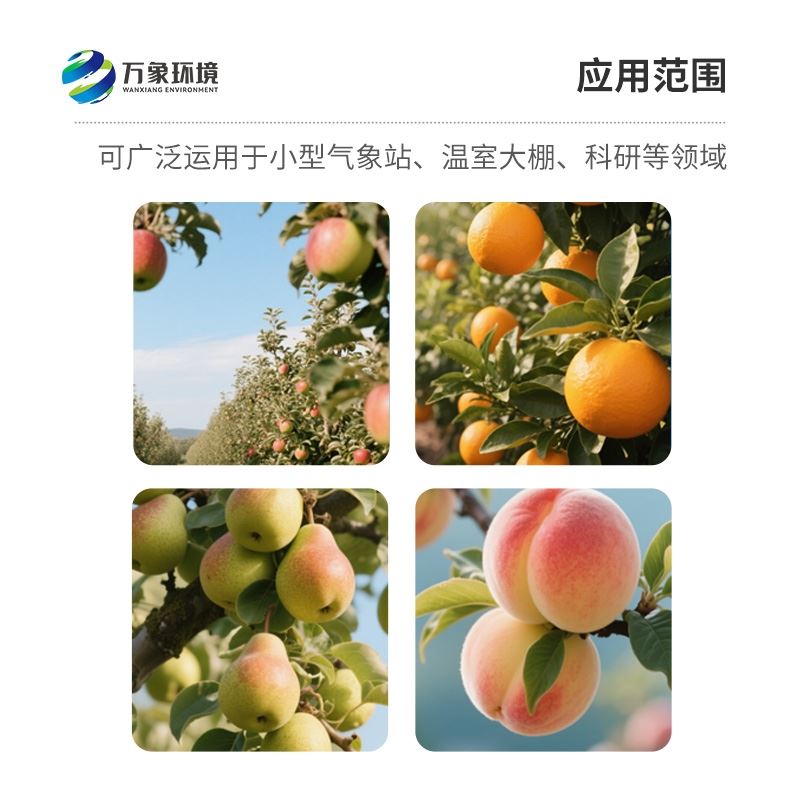 果实膨大传感器