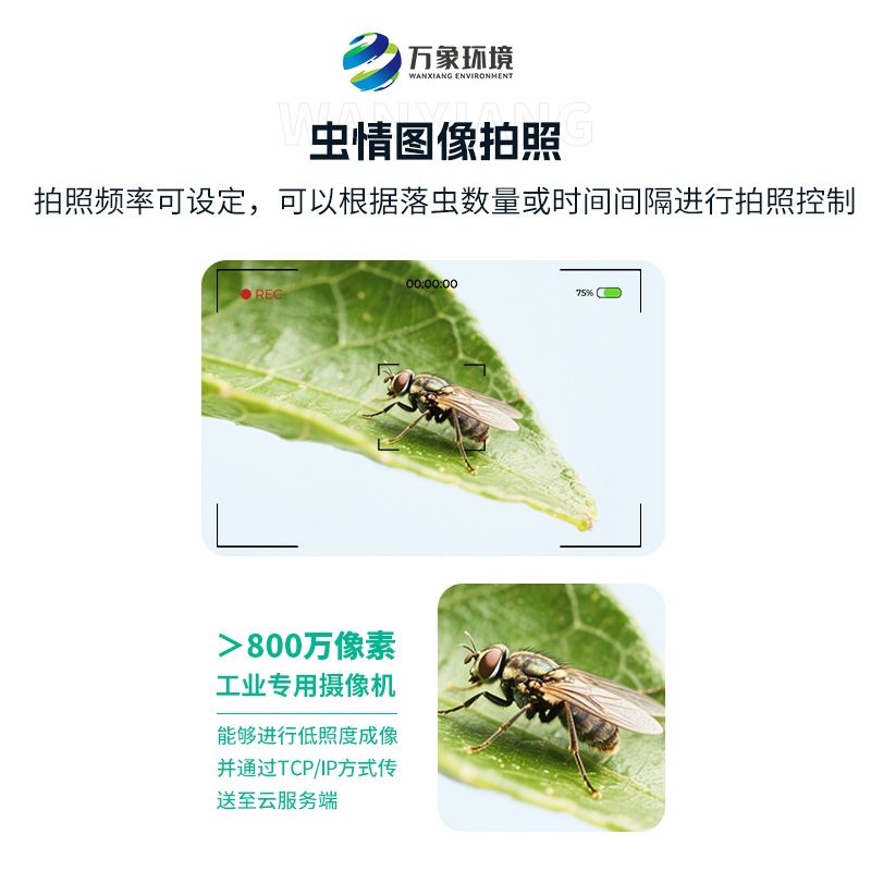 实蝇监测仪