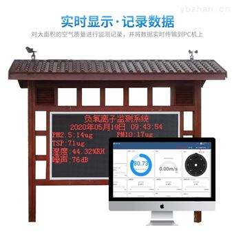 WX-FLZ40负氧离子在线监测系统