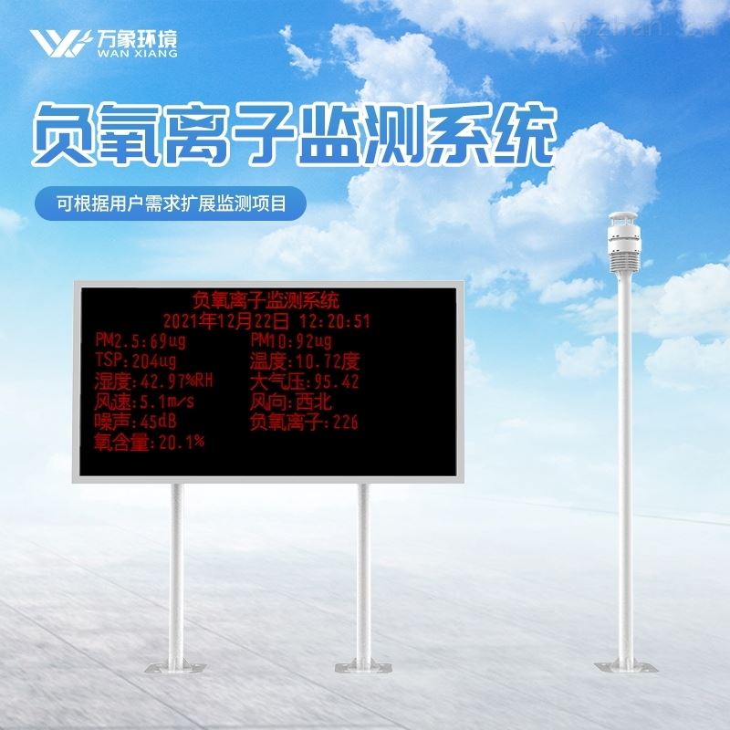 负离子监测系统