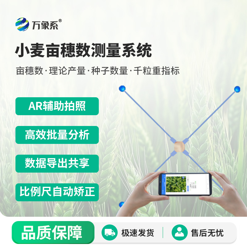 1.jpg 小麦亩穗数测量系统