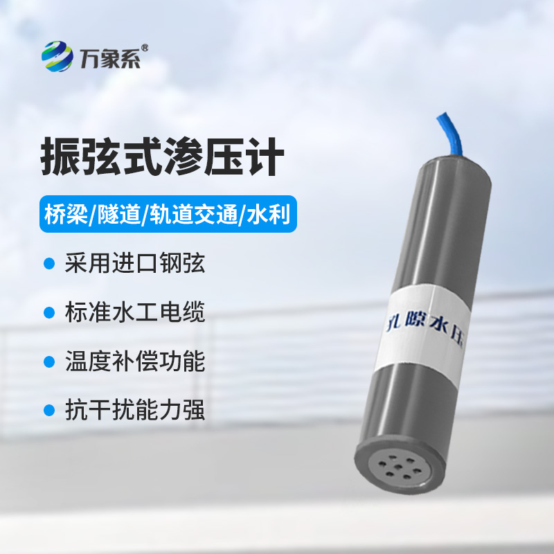 8.jpg 孔隙水压力计