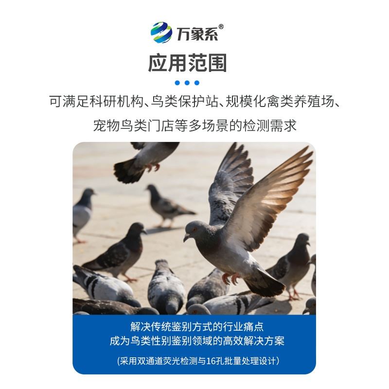 鸽子性别鉴定仪器