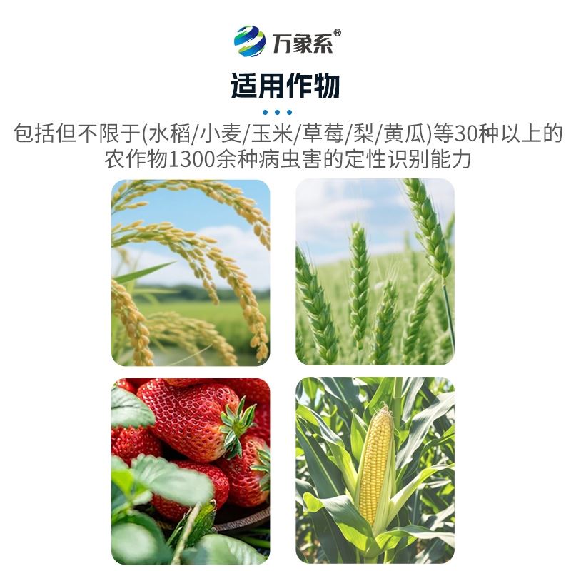 智能诊断仪