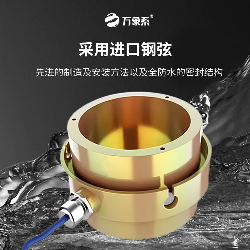 锚索计