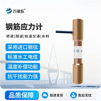 WX-GJ1钢筋计