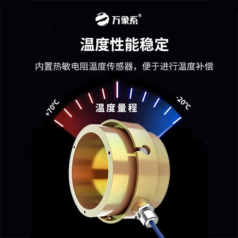 锚索计