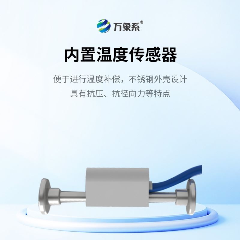 埋入式应变计
