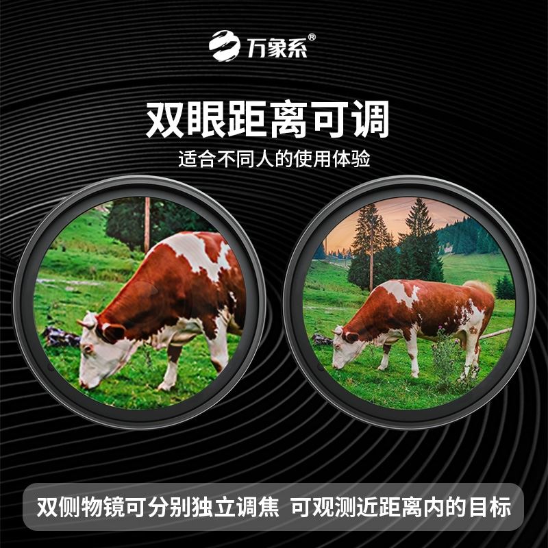 双目双筒红外夜视仪