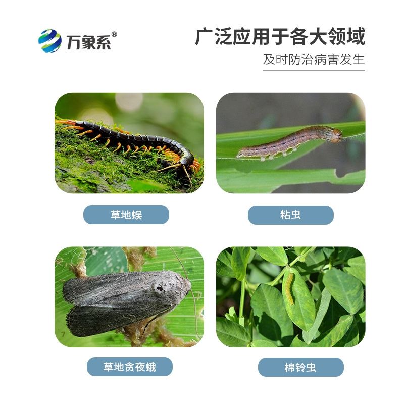 草地贪夜蛾高空测报灯