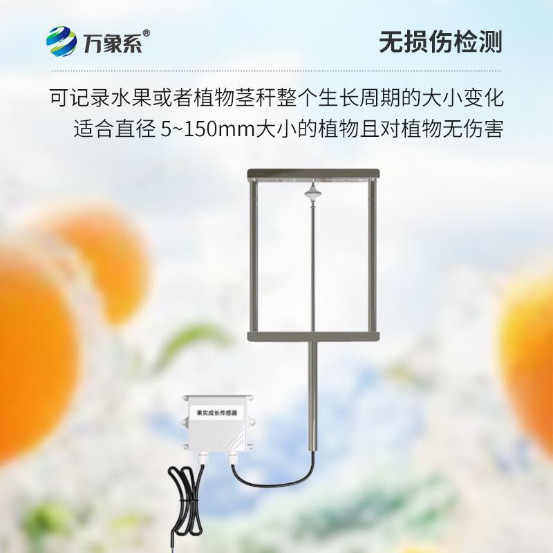 果实茎杆生长传感器