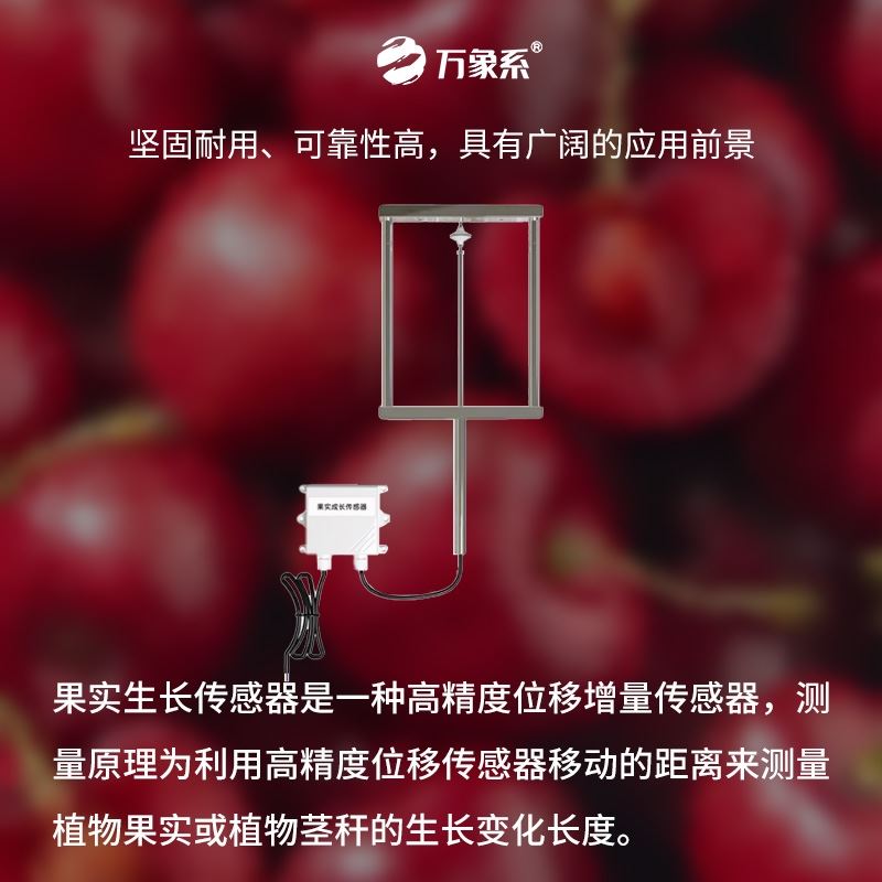 果实茎杆生长传感器