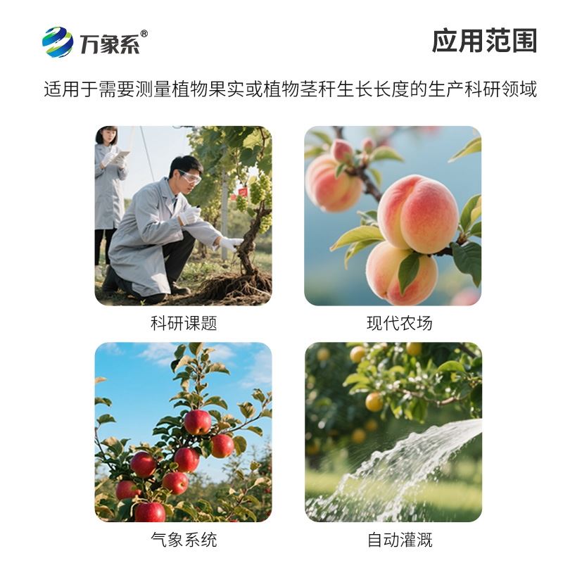 果实茎杆生长传感器
