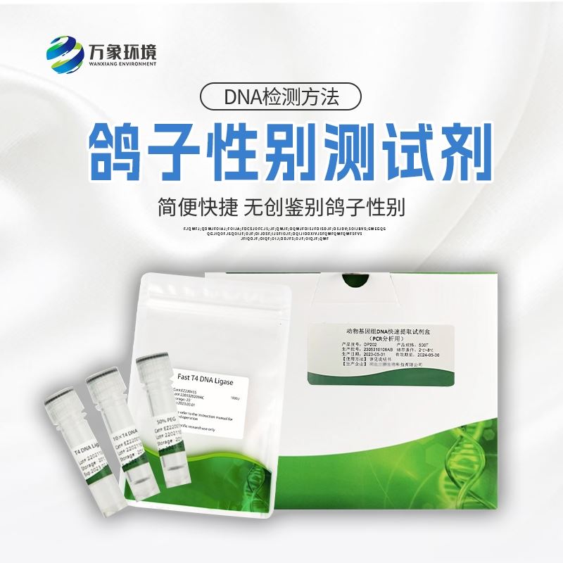 鹦鹉公母检测仪