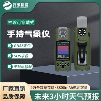 WX-SQ17应急管理手持气象仪器