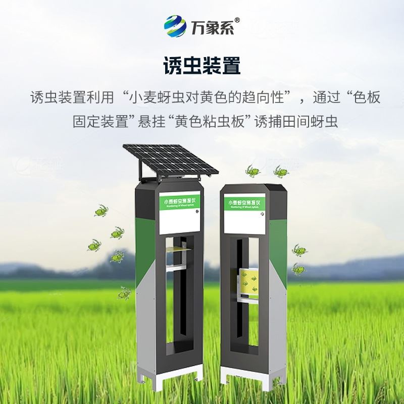 小麦蚜虫在线监测系统
