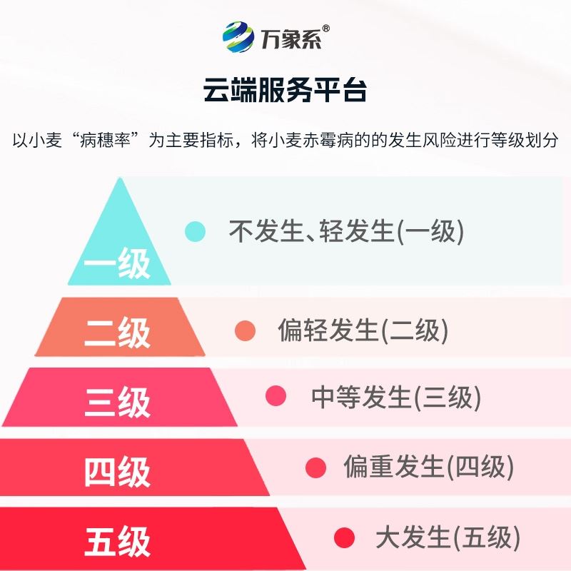 小麦赤霉病监测仪