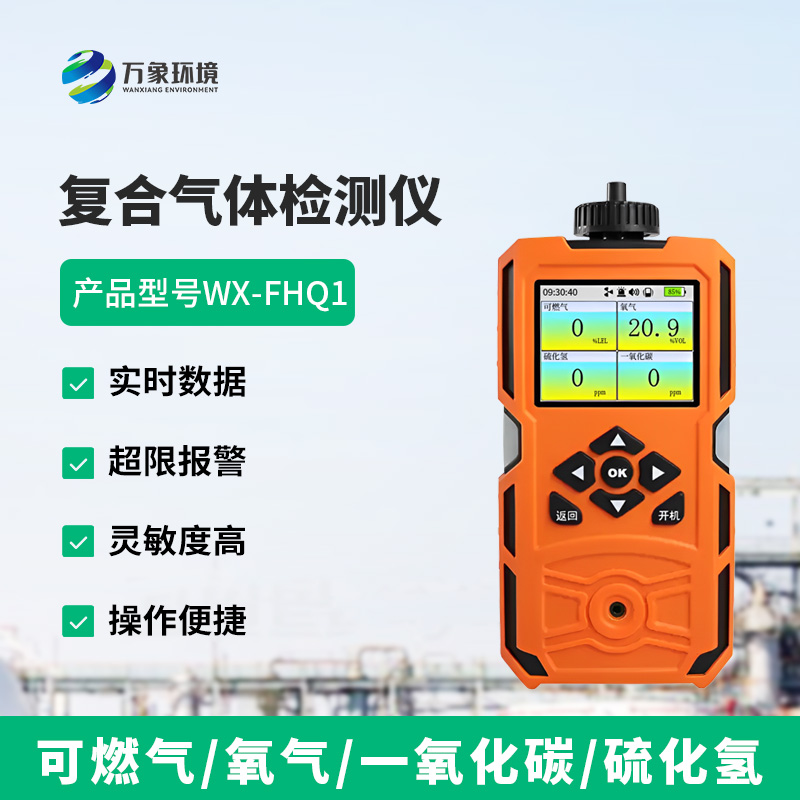 6.jpg 复合气体检测仪