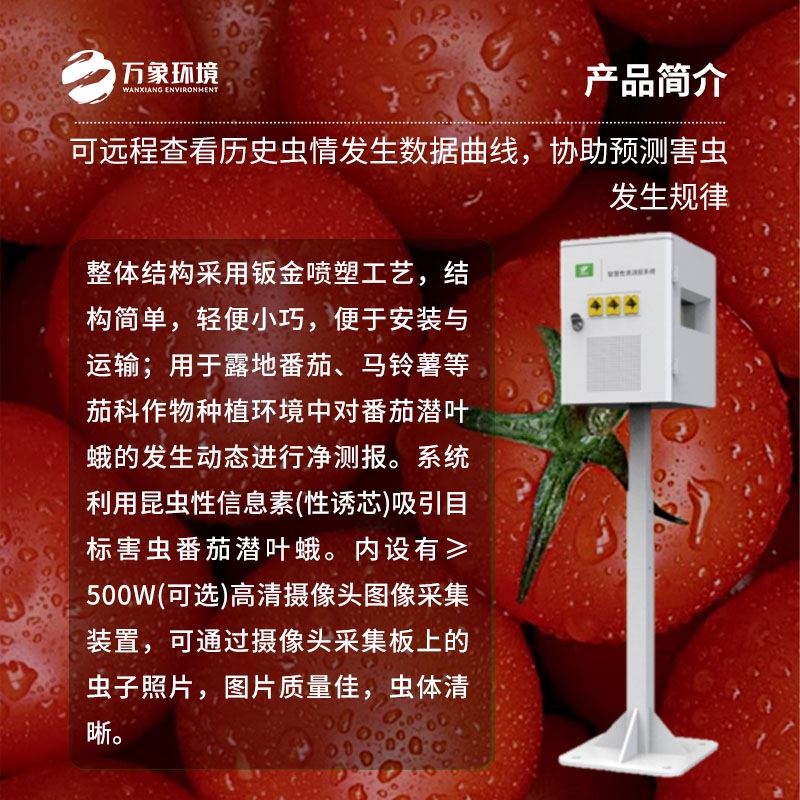 番茄潜叶蛾性诱测报系统