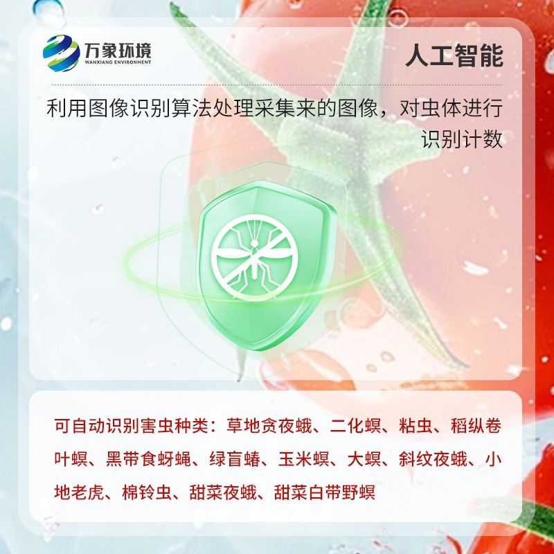 番茄潜叶蛾性诱测报系统